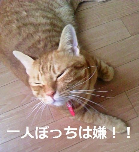 TS3U0184