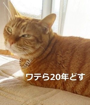 20180112_085859_HDR