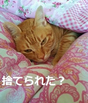 20180407_110046