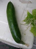 20180728_080132