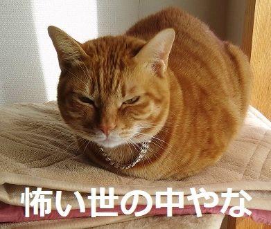 20171126_100742