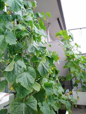 20180629_082244