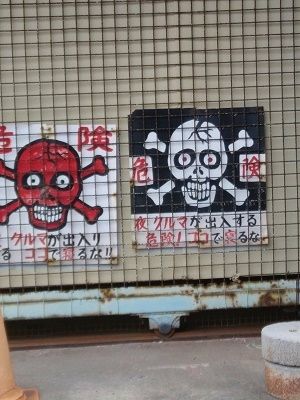 20190323_130550