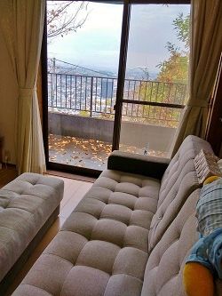 20181203_115635_HDR