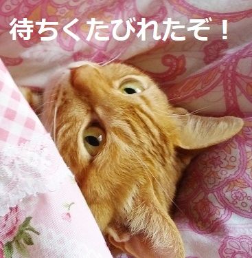 20180407_110014