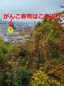 20181203_115328_HDR