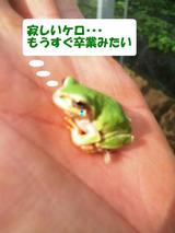 いつもより悲しげだった。。。