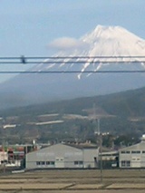 9475f9e3.jpg