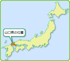 ダウンロード