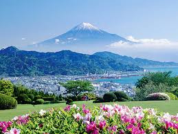 images (6)