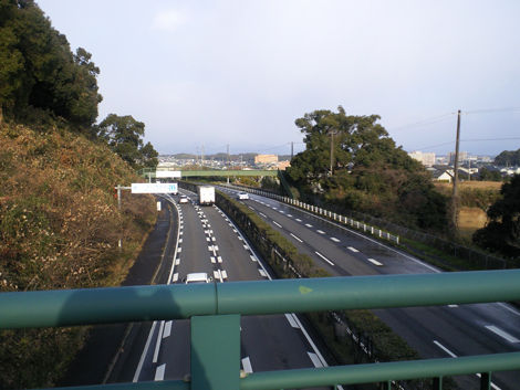 tosuchikushino