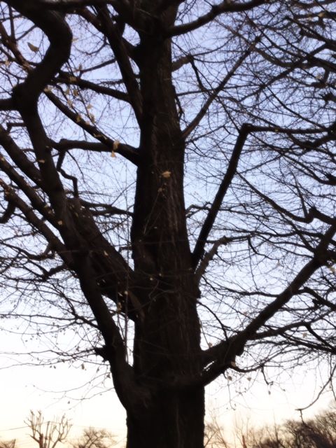 e9eab85f.jpg