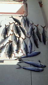 0e936177.jpg