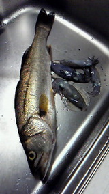 201208212234001