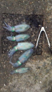 201410211655000