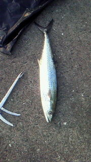 201405011846000