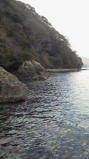 201501241511000