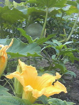 201208180757000