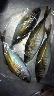 201405252204000