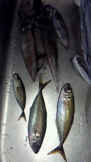 201601152334000