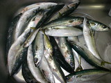 c638d402.jpg