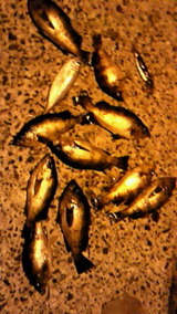 d895b044.jpg