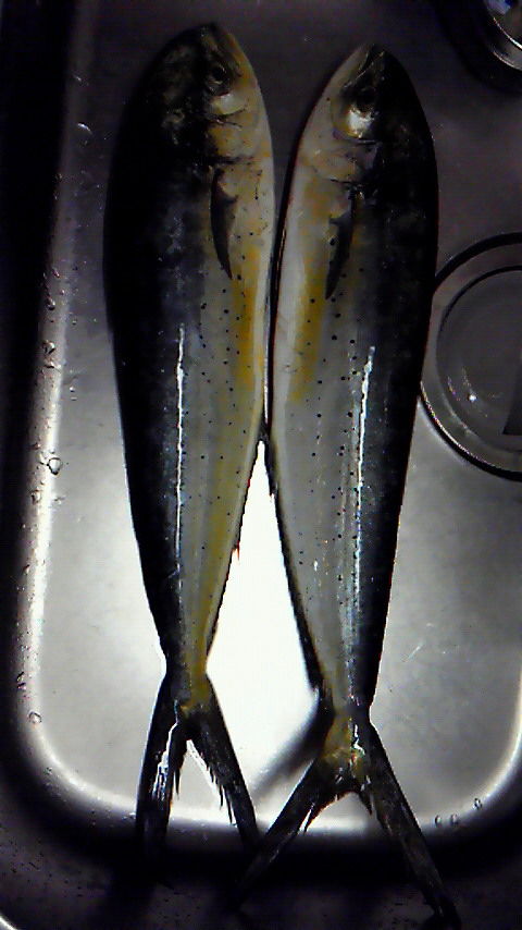 201311271833000