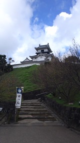 c1f78508.jpg