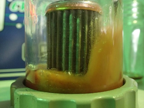 P7010160_R
