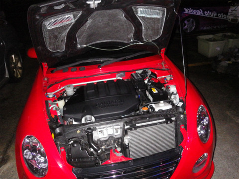 IMGP6367