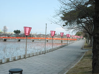 070323