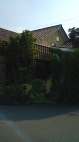 a5fe5001.jpg