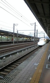 48b89f02.jpg