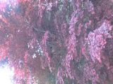 922f9297.jpg