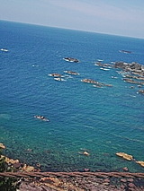 c6f23441.jpg