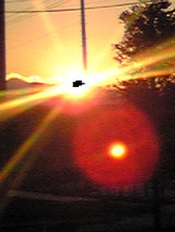 fdc34e59.jpg