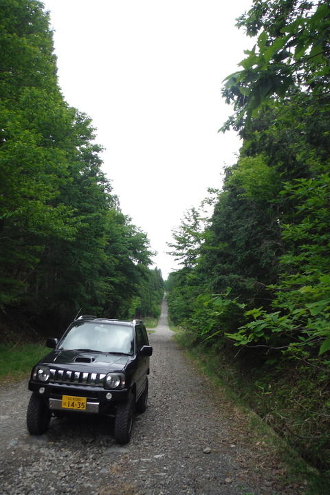 76e43d45-s