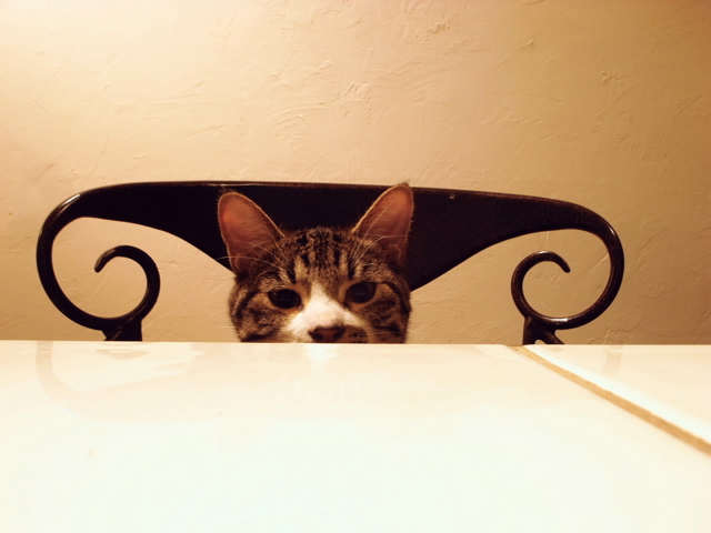 めろ
