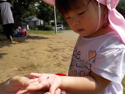 DSCN1605