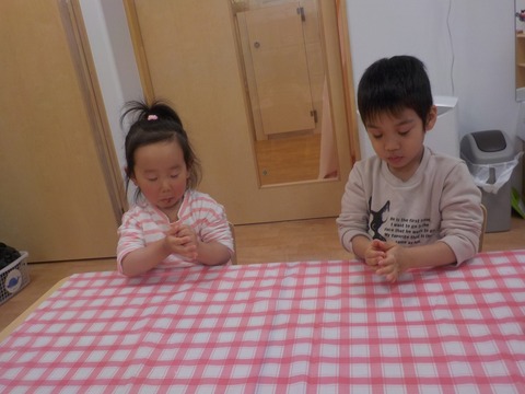 DSCN4431