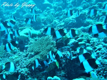 DSCN3923