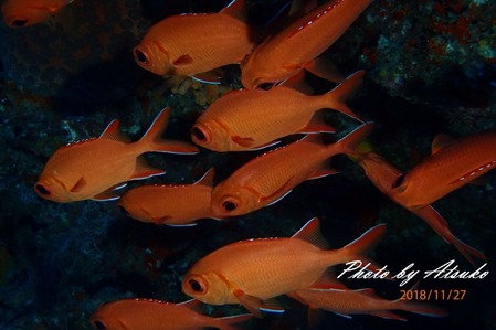 PB270976 A
