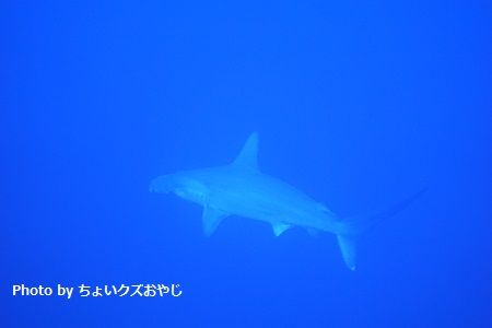 DSC03501