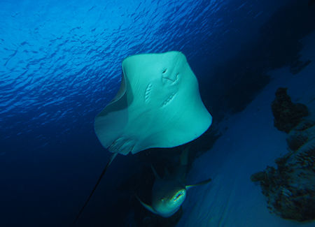 P4220683