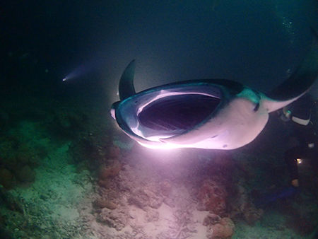 P9120264
