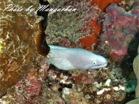 PA280565 2