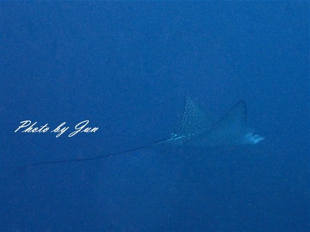 PB010608