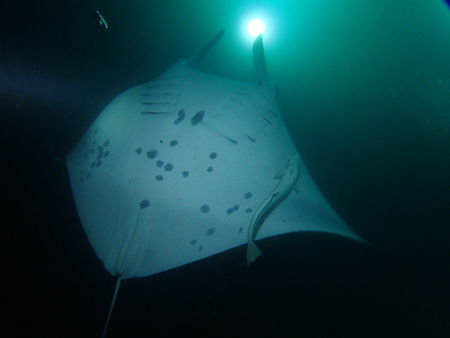 P4200176