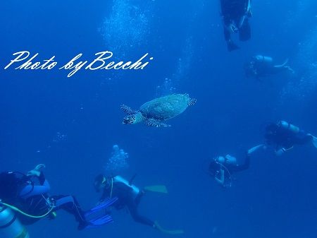 Blue Be