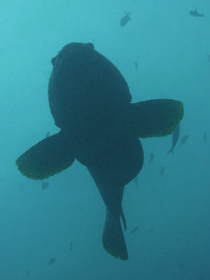 P1020347
